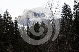 Halfdome With Snow And Cloudy Sky Through Trees