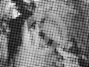 Halftone Pattern. Set of Dots. Dotted Texture. Overlay Grunge Template. Distress Linear Design. Fade Monochrome Points.