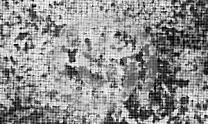 Halfton pattern dot background texture overlay grunge distress linear vector.Black and white abstract background with wavy dotted. photo