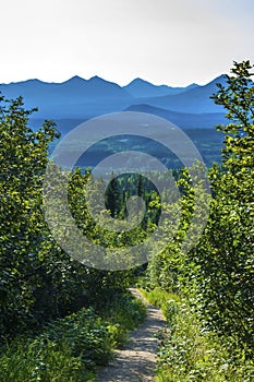 Halfway up Mount Healy overlooking Denali National Park Preserve.