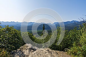 Halfway up Mount Healy overlooking Denali National Park Preserve.