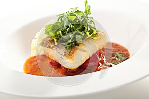 Halibut Fillet