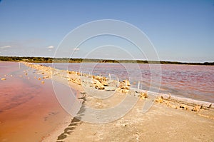 Halite lake in Coorong National park