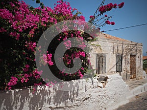 Halki is a Greek island and municipality in the Dodecanese archipelago in the Aegean Sea,nice colored houses-romantic