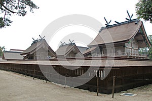 hall (honden) in a shinto shrine (izumo-taisha) in izumo (japan)