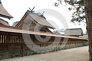 hall (honden) in a shinto shrine (izumo-taisha) in izumo (japan)