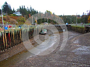 Hall`s harbour Nova Scotia at low tide