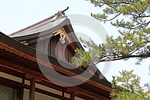 hall in a shinto shrine (izumo-taisha) in izumo (japan)