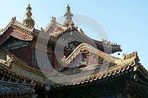 The Hall of Wheel of Dharma in The Yonghe Temple