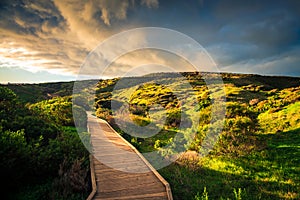 Hallett Cove park, South Australia