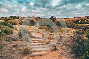 Hallett Cove wooden uphill trail  at sunset