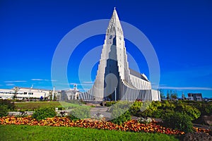 Hallgrimskirkja Cathedral in Reykjavik, Iceland, lutheran parish church, exterior in a sunny summer