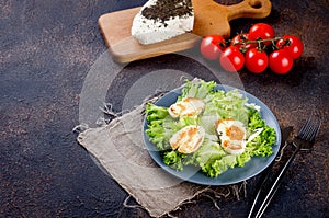 Halloumi cheese, grilled, with lettuce salad, cherry tomates and herbs