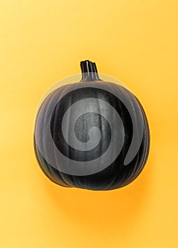 Halloweeen theme with a black pumpkin