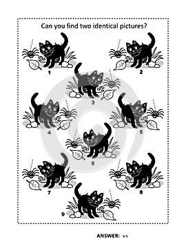 Halloween activity sheet with black cat