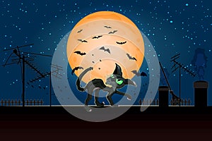 Halloween angry cat on roof in full moon. photo