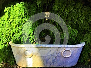 Halloween atmosphere, grotesque mask, fountain and vegetation