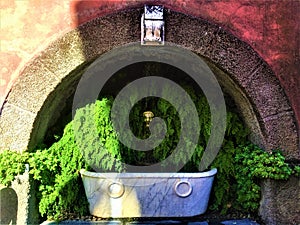 Halloween atmosphere, grotesque mask, fountain and vegetation