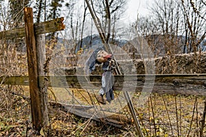 Halloween autumn concept scary old doll on garden palisade outdoor environment space in yellow and brown colors in October day