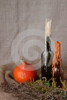 Halloween autumn still life. Pumpkin, candles in bottles, herbs. Light canvas background