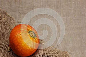 Halloween autumn still life. Pumpkins on the background of the canvas.