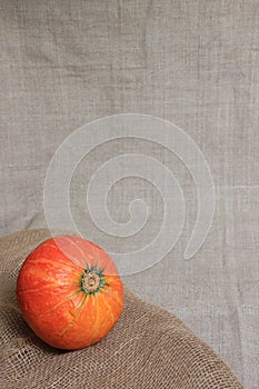 Halloween autumn still life. Pumpkins on the background of the canvas. Copy space.