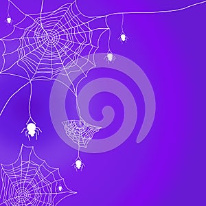 Halloween background with cobweb and hanging spider on purple background.
