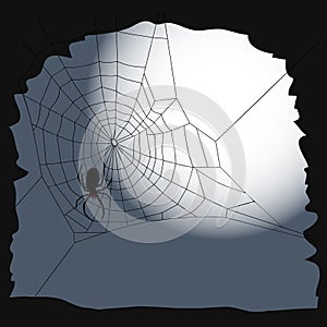 Halloween background - the cobweb and a spider