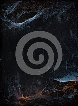 Halloween background with cobweb