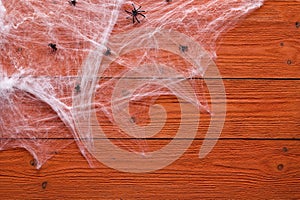 Halloween background with decorative creepy web and spiders on orange wooden boards. Blank space for text.