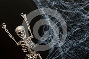 Halloween background with fake spider webs and skeleton decoration