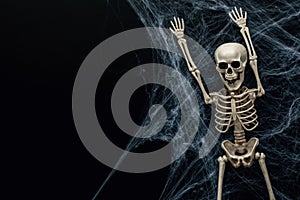 Halloween background with fake spider webs and skeleton decoration