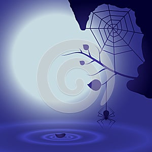 Halloween background with full moon and spider.