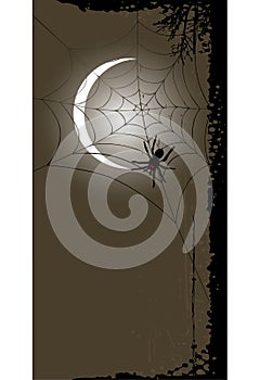 Halloween background with full moon and spider web