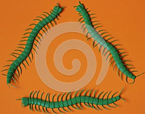 Halloween background, green centipedes on an orange background