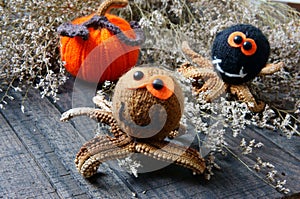 Halloween background, handmade, pumpkin, spider, october