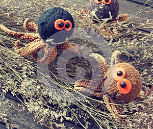 Halloween background, handmade, pumpkin, spider, october