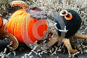 Halloween background, handmade, pumpkin, spider, october