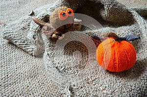 Halloween background, handmade, pumpkin, spider, october