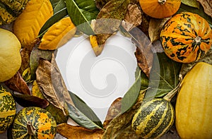 Halloween background with leaves and pumpkins.