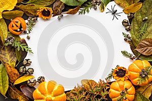 Halloween background with leaves and pumpkins.