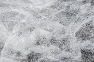 Halloween background spider web on a dark wall
