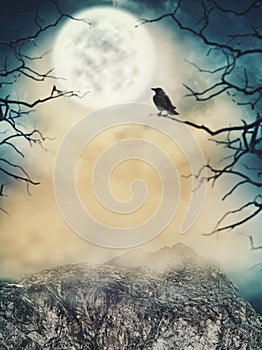 Halloween background. Spooky sky with moon and dead trees