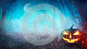 Halloween Spooky Forest photo