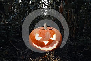 Halloween background. Spooky glowing jack-o-lantern pumpkin on the ground in a cornfield.