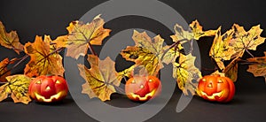 Halloween background. Three Jack pumpkins on a background of autumn leaves. Panoramic banner