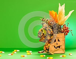 Halloween Bag isolated with green background
