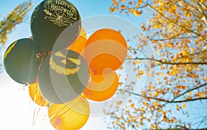Halloween balloons in orange and black color