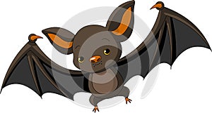 Halloween bat flying