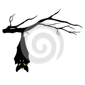 Halloween bat on tree branch